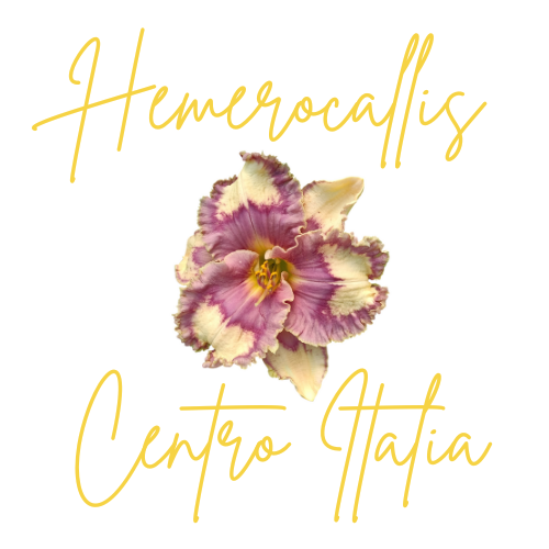 Header Logo